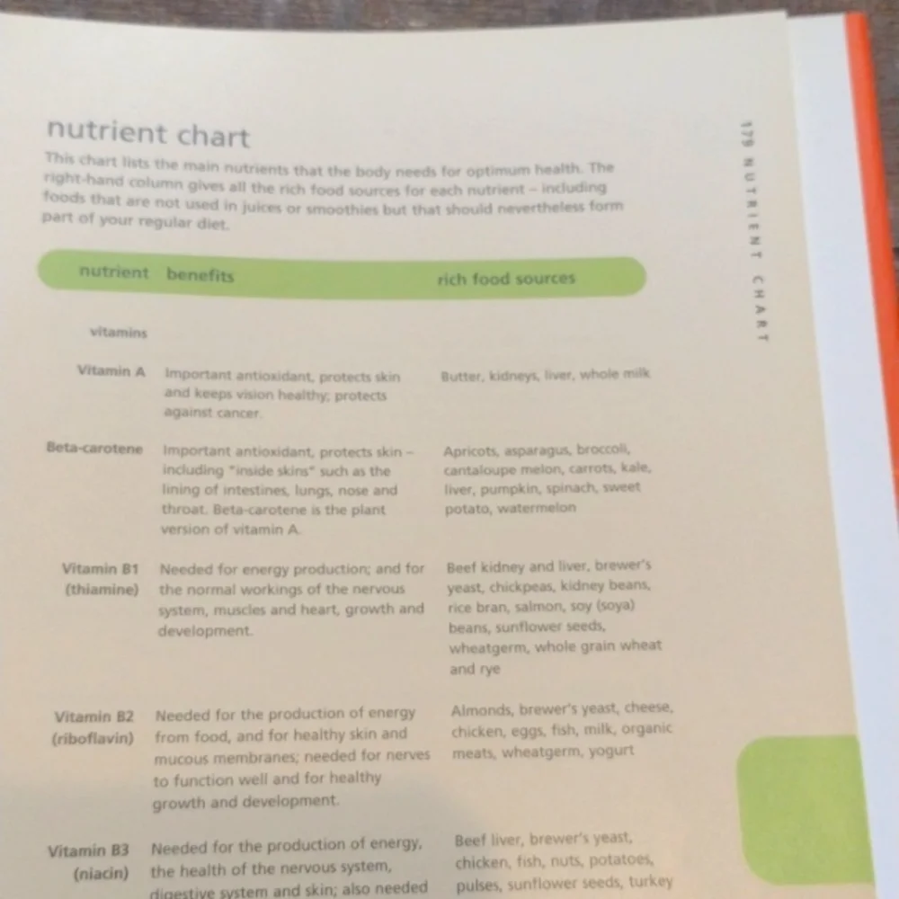 The Big Book Of Juices And Smoothies